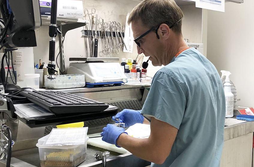 State-of-the-Art Pathology Reporting System Goes On Line