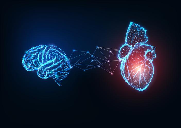 Heart-Brain Connection Presentation on March 7