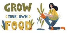 Grow Your Own Food