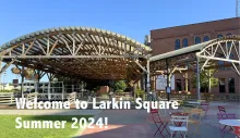 Larkin Square Lights Up with Summer Fun